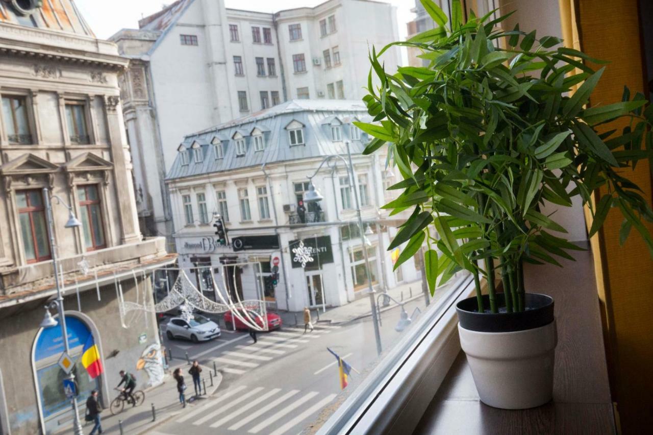 Ideal Apartment Bucureşti Ngoại thất bức ảnh
